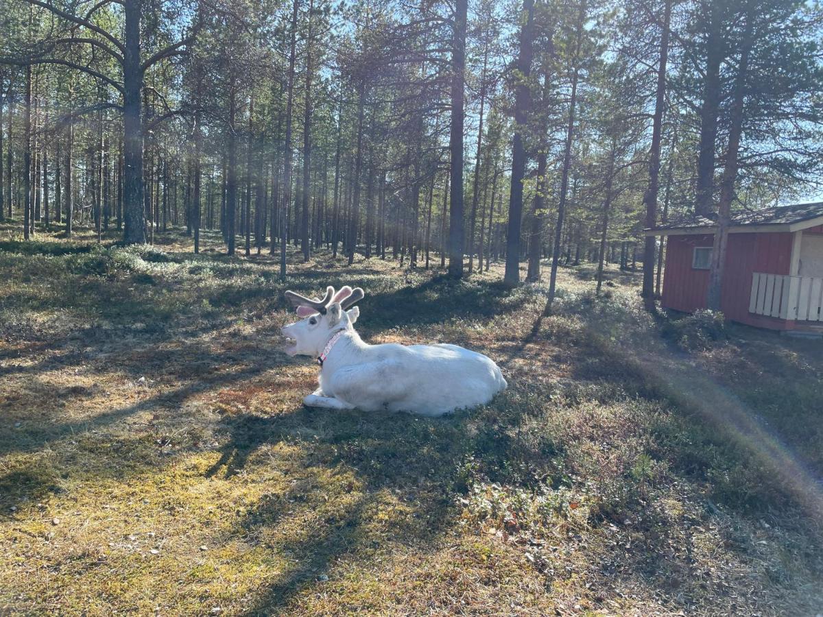 Porotila Toini Sanila Hotel Sevettijarvi Luaran gambar