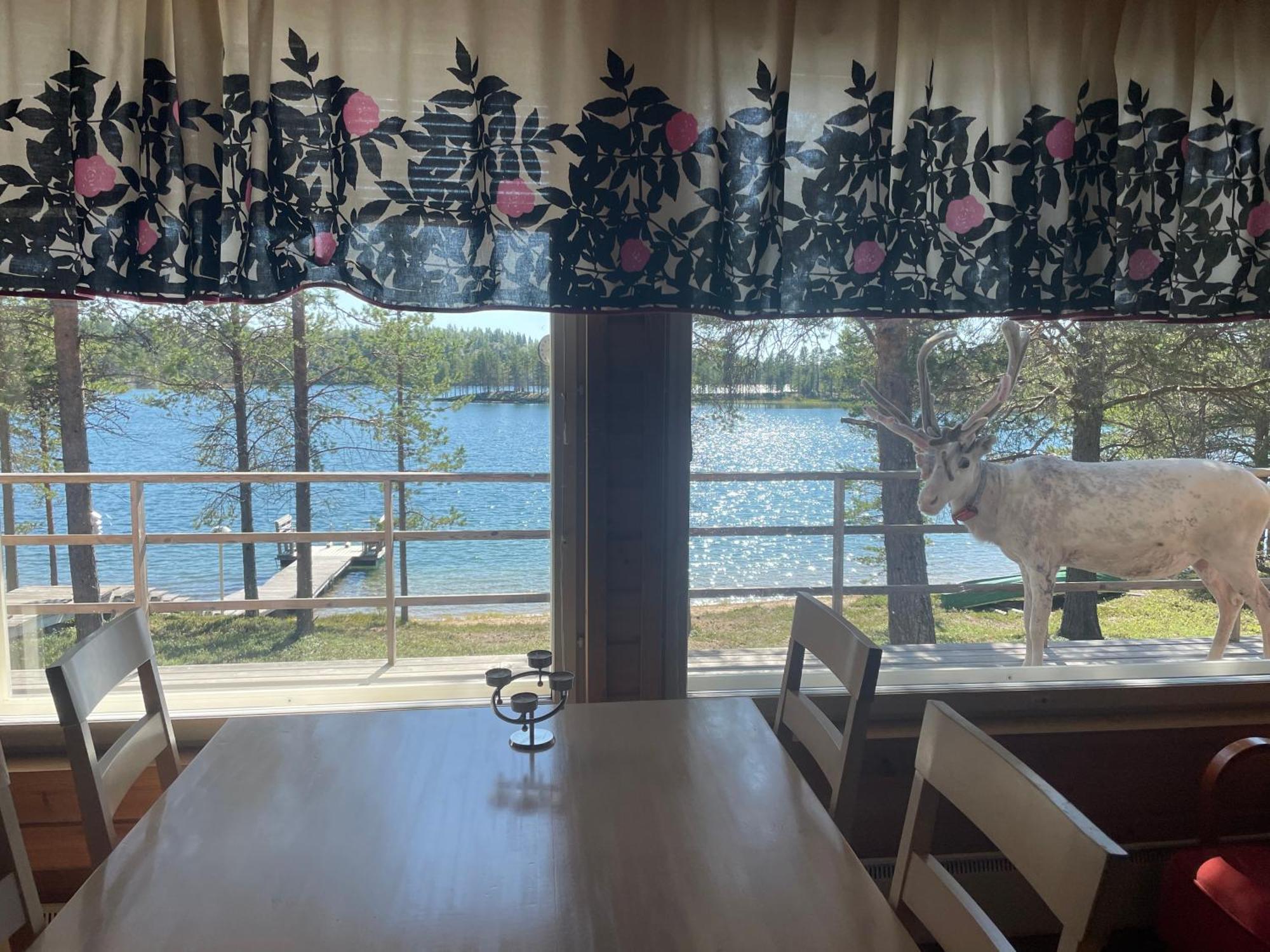 Porotila Toini Sanila Hotel Sevettijarvi Luaran gambar